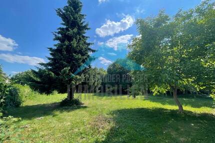 Neubauprojekt mit Bestandsimmobilie zum sanieren (Sonder-Afa) in Kassel - BettenhausenEichwald! - Kassel / Bettenhausen