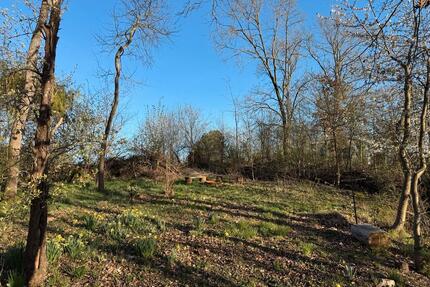 Freizeitgrundstück, Gartengrundstück mit altem Baumbestand - Ebergötzen