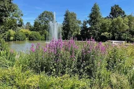 Wohnung zum Kaufen in Bad Schönborn 799.800,00 € 133.32 m²