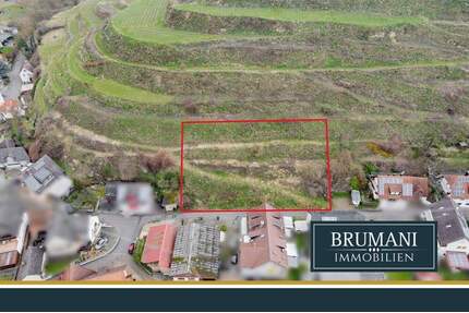 BRUMANI | Großzügiges Baugrundstück mit Genehmigung und Hanglage in Vogtsburg, auf ca. 1.000 m²