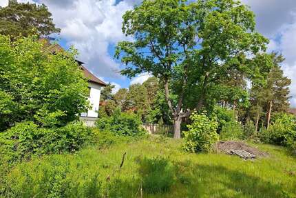 Grundstück zu verkaufen in Oranienburg 275.000,00 € 731 m²