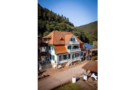 Wohnen für Lebensmeister (Kreative,Körperarbeit,Heilarbeit) - Heidelberg