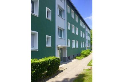 Gelegenheit: renovierte 3-Zimmer-Wohnung - Bielefeld Sennestadt