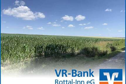 Grundstück in Dirnaich 262.548,00 € 19448 m²