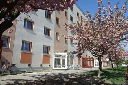 Wohnung zum Mieten in Weißwasser 366,30 € 51.49 m²