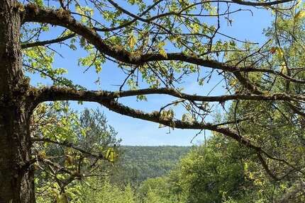 Grundstück zu verkaufen in Duggendorf 249.000,00 € 2882 m²