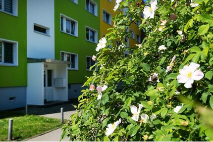 Hier wohnt es sich gut! - 360,00&nbsp;EUR Kaltmiete, ca.&nbsp; 60,85&nbsp;m&sup2; in Halle (Saale) (PLZ: 06132) Silberhöhe