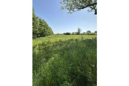 Grundstück zu verkaufen in Grevesmühlen 95.000,00 € 1390 m²