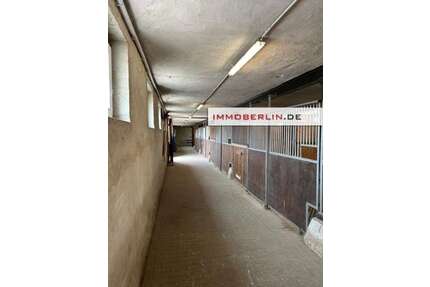 Grundstück zu verkaufen in Kloster Lehnin 499.000,00 € 6300 m²