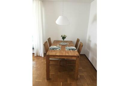 FerienwohnungBodensee78qmSEENAHFREI ab 17.5+ 8.6.LK Konstanz - Radolfzell am Bodensee