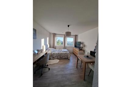 Gemütliche Einzimmerwohnung Greifswald Zentrum ab 01.07.