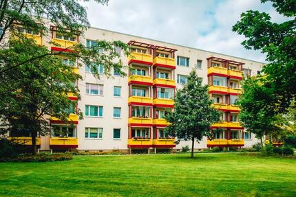 Schöne Wohnung in der Nähe zum Stadtpark - Greifswald Groß Schönwalde