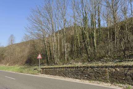 Grundstück zu verkaufen in Bullay 49.500,00 € 531 m²