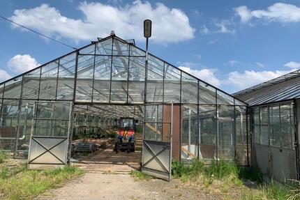 Grundstück mit Gewächshäusern in Hamburg-Curslack zu vermieten