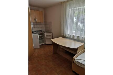Studentenappartement zu Vermieten -DHBW- - Mosbach