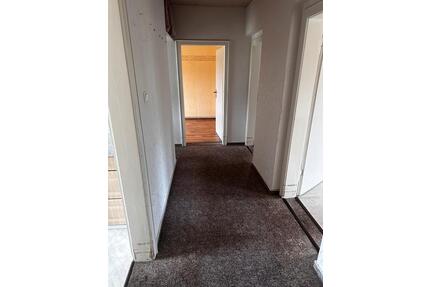 3 Zimmer Wohnung provisionsfrei in döbern
