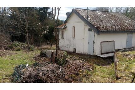 Wochenendhaus - 58.000,00&nbsp;EUR Kaufpreis, ca.&nbsp; 45,00&nbsp;m&sup2; in Osburg (PLZ: 54317)