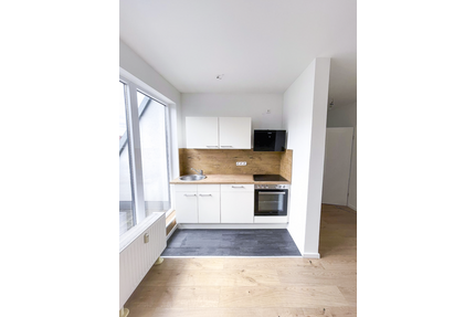 Wohnung zum Mieten in Leipzig 879,00 € 62 m²