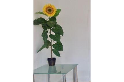 Helle gepflegte 2Zi Whg. im Herzen von Verden, 700, - - kalt - Verden (Aller)