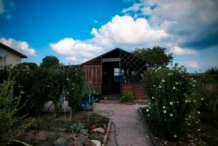 300m2 Pachtgarten sofort abzugeben - Schkeuditz