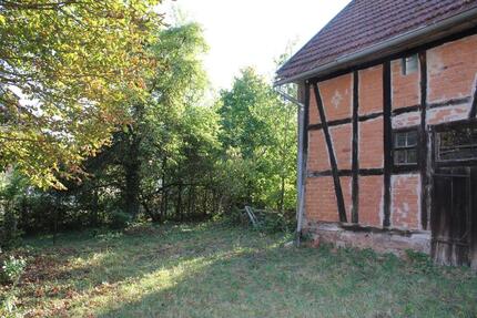 Platz für Alles und Alle in der Rhön ( Haus-Hof-Garten) - Wasungen