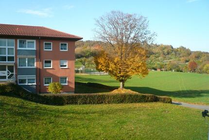 Helle 3 Zimmer- Wohnung mit Balkon in Obrigheim