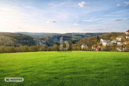 Grundstück zu verkaufen in Pegnitz 225.000,00 € 1185 m²