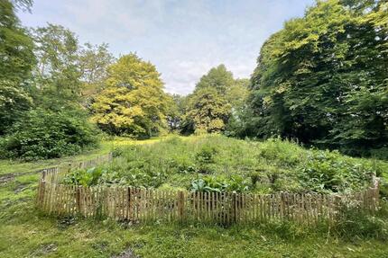 Garten Schrebergarten in 19205 Kneese - Gadebusch