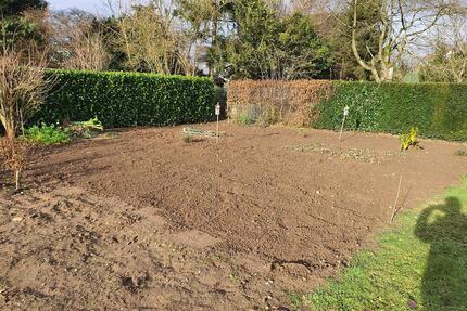 50qm Nutzgarten Garten f. Obst Gemüse Kräuter-kein Schrebergarten - Bergisch Gladbach Frankenforst