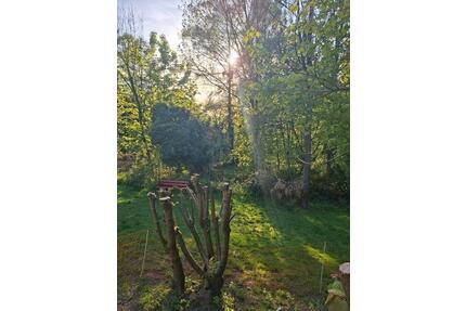 GrundstückHaus mit viel Entwicklungspotenzial im Zooviertel - Wuppertal Arrenberg