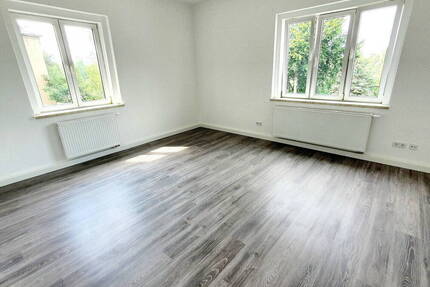 3-Raum-Wohnung - renoviert, geringes Hausgeld, 65 qm Atelier - Chemnitz Altchemnitz