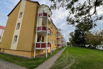 Gemütliche 1-Raum-Wohnung in ruhiger Lage in Dingelstädt