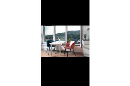 1 -Zi-Wo, komplett ausgestattet, renoviert, grenznah - Lörrach Salzert