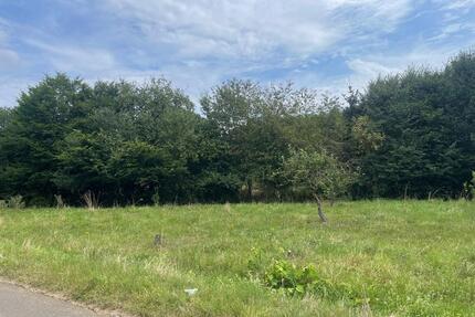 Landwirtschaftsfläche im Naturschutzgebiet - Lich