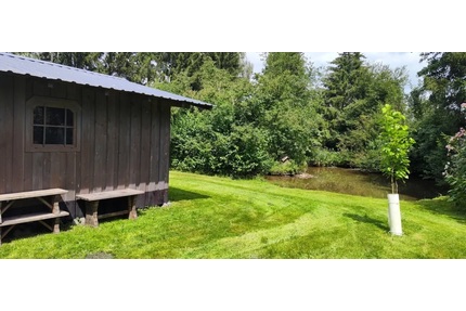 Naturgrundstück mit Weiher, Wald-/Freizeitgrundstück in ruhiger Lage - Jettingen-Scheppach