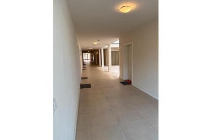 1-Zimmer-Wohnung in ruhiger Lage mit Einbauküche - Dresden Prohlis