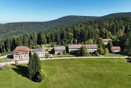 Haus zum Kaufen in Sasbachwalden 799.000,00 € 1500 m²