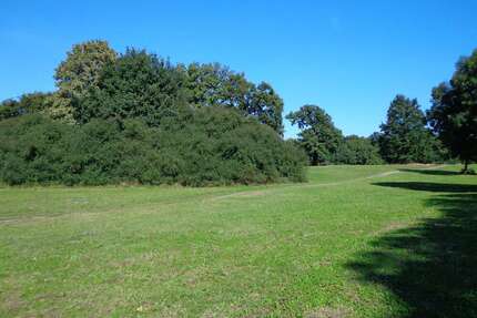 Haus zum Kaufen in Kummerfeld 429.000,00 € 140 m²