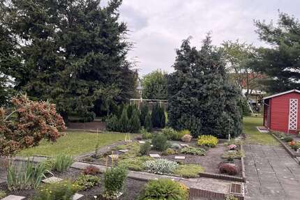 Grundstück zu verkaufen in Lobstädt 150.000,00 € 1000 m²