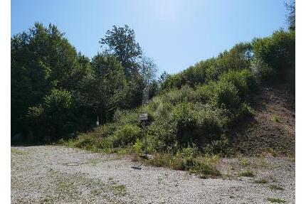 RUHE PUR! NATURPARADIES AM ORTSRAND - Regenstauf