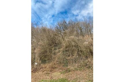 Landwirtschaftliche Fläche Dossenbach - Schwörstadt