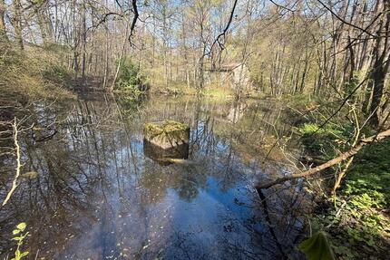 Grundstuck mit 2 Teichen, Bachlauf optional mit Gebäude - Wiesbaden Bierstadt