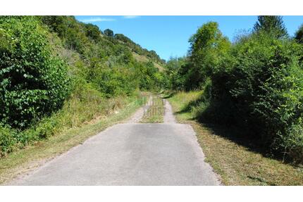 WINGERT IM DORNRÖSCHENSCHLAF - 3.500,00&nbsp;EUR Kaltmiete, ca.&nbsp; 5,48&nbsp;m&sup2; in Hargesheim (PLZ: 55595)