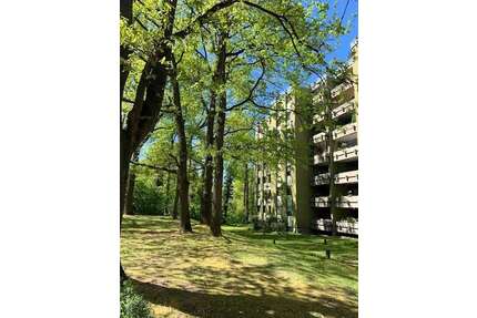 Wohnung zum Kaufen in Fürth 250.000,00 € 83 m²