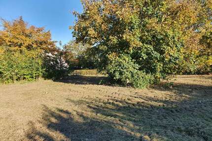 Grundstück zu verkaufen in Lübbecke 125.000,00 € 1704 m²