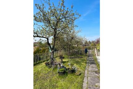 Schrebergarten nähe Krankenhaus ca 450m2 - Emden Tholenswehr