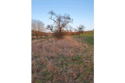 Grundstück am Ortsrand von Neuenbürg - Kraichtal