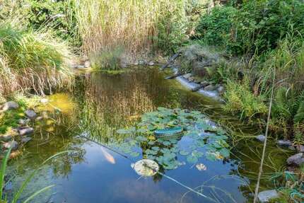 Grundstück zu verkaufen in Panketal 450.000,00 € 1238 m²