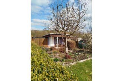 schöner pflegeleichter ruhiger Garten - Zwickau