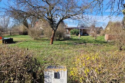 Garten Kleingarten Pachtgarten in Kleingartenverein - Schkeuditz